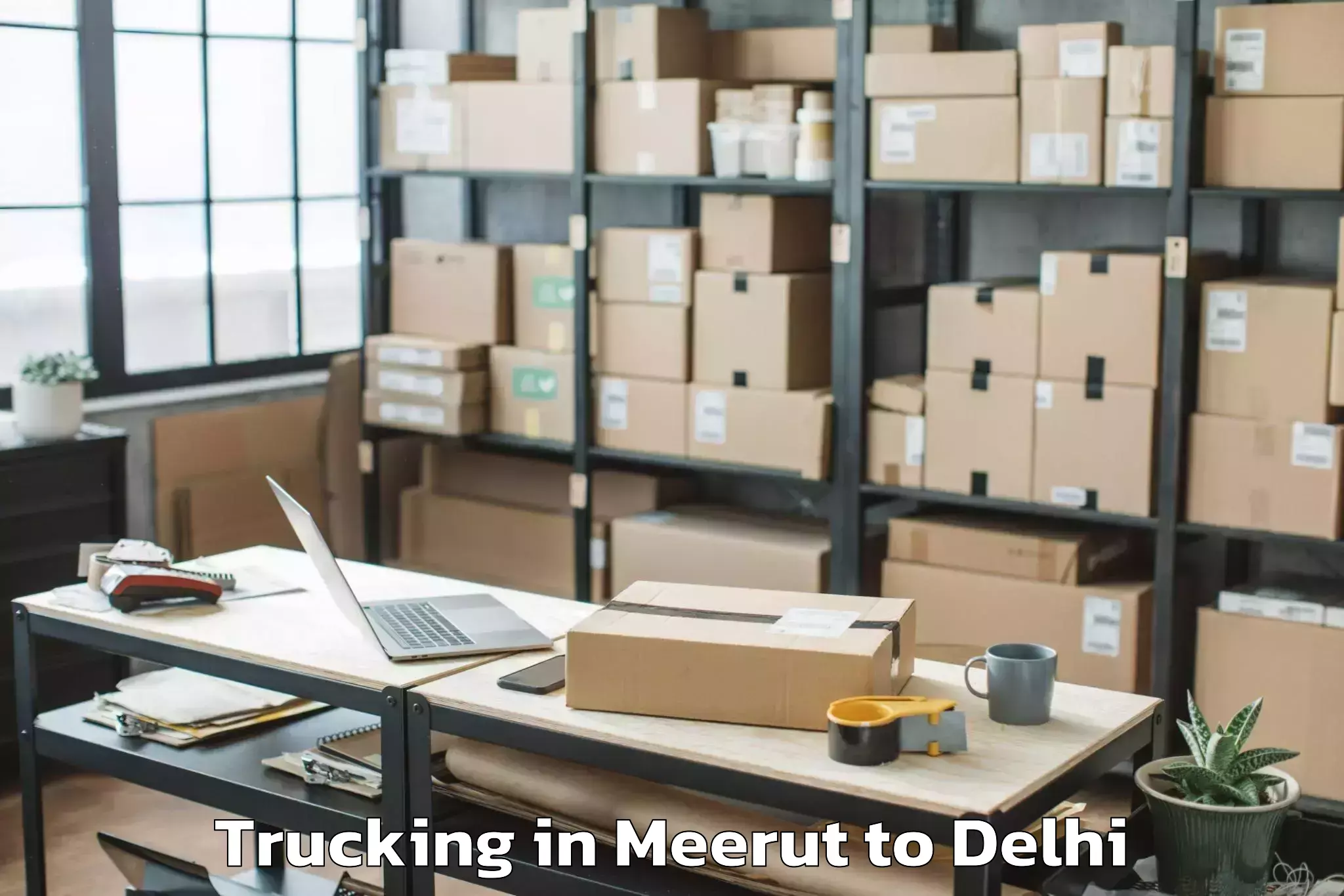 Book Meerut to National Institute Of Educatio Trucking Online